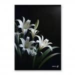 "Светоч"   Т154   Тетрадь ученическая общая,   A4   80 л.  на скобе   65 г/кв.м , белизна 100 \%  6 шт.  клетка