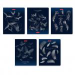 "Светоч"   96ТЕТк-007   Тетрадь ученическая общая, матовая ламинация + тиснение серебряной фольгой,   A5+   96 л.  на скобе   60 г/кв.м , белизна 100 \%  5 шт.  клетка