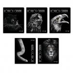 "Светоч"   96Т15   Тетрадь ученическая общая, глянцевая ламинация,   A5+   96 л.  на скобе   65 г/кв.м , белизна 100 \%  5 шт.  клетка