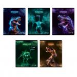 "Светоч"   96Т15   Тетрадь ученическая общая, глянцевая ламинация,   A5+   96 л.  на скобе   65 г/кв.м , белизна 100 \%  5 шт.  клетка