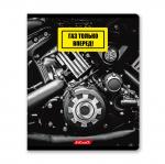 "Светоч"   96ТЕТк-004   Тетрадь ученическая общая, глянцевая ламинация,   A5+   96 л.  на скобе   60 г/кв.м , белизна 100 \%  5 шт.  клетка