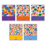 "Светоч"   96ТЕТк-004   Тетрадь ученическая общая, глянцевая ламинация,   A5+   96 л.  на скобе   60 г/кв.м , белизна 100 \%  5 шт.  клетка