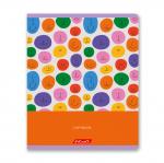 "Светоч"   96ТЕТк-004   Тетрадь ученическая общая, глянцевая ламинация,   A5+   96 л.  на скобе   60 г/кв.м , белизна 100 \%  5 шт.  клетка