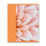 "Светоч"   96Т16   Тетрадь ученическая общая, матовая ламинация,   A5+   96 л.  на скобе   65 г/кв.м , белизна 100 \%  5 шт.  клетка