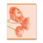 "Светоч"   96Т16   Тетрадь ученическая общая, матовая ламинация,   A5+   96 л.  на скобе   65 г/кв.м , белизна 100 \%  5 шт.  клетка