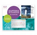 "ФРЕЯ"   PKZ/PM-092   Набор для раскрашивания по номерам (на картоне)   40 х  30 см