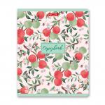 "Светоч"   96ТЕТк-006   Тетрадь ученическая общая, софт-тач ламинация,   A5+   96 л.  на скобе   60 г/кв.м , белизна 100 \%  5 шт.  клетка