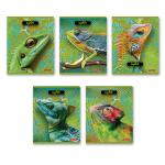 "Светоч"   80ТСК5_8_2_1   Тетрадь ученическая общая, твин лак,   A5+   80 л.  на скобе   65 г/кв.м , белизна 100 \%  5 шт.  клетка