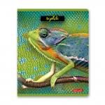 "Светоч"   80ТСК5_8_2_1   Тетрадь ученическая общая, твин лак,   A5+   80 л.  на скобе   65 г/кв.м , белизна 100 \%  5 шт.  клетка