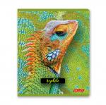 "Светоч"   80ТСК5_8_2_1   Тетрадь ученическая общая, твин лак,   A5+   80 л.  на скобе   65 г/кв.м , белизна 100 \%  5 шт.  клетка