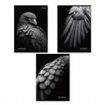 "Светоч"   Т155   Тетрадь ученическая общая, выборочный лак,   A4   80 л.  на скобе   65 г/кв.м , белизна 100 \%  6 шт.  клетка