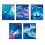 "Светоч"   96ТСК5_1_3_2   Тетрадь ученическая общая,   A5+   96 л.  на скобе   65 г/кв.м , белизна 100 \%  5 шт.  линия