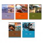 "Светоч"   80ТСК5_0_2_1   Тетрадь ученическая общая,   A5+   80 л.  на скобе   65 г/кв.м , белизна 100 \%  5 шт.  клетка