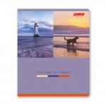 "Светоч"   80ТСК5_0_2_1   Тетрадь ученическая общая,   A5+   80 л.  на скобе   65 г/кв.м , белизна 100 \%  5 шт.  клетка