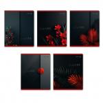 "Светоч"   96Т17   Тетрадь ученическая общая, софт-тач ламинация + выборочный лак,   A5+   96 л.  на скобе   65 г/кв.м , белизна 100 \%  5 шт.  клетка