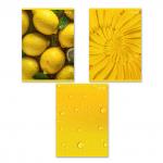 "Светоч"   Т157   Тетрадь ученическая общая, выборочный лак,   A4   96 л.  на скобе   65 г/кв.м , белизна 100 \%  6 шт.  клетка