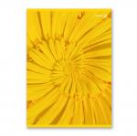 "Светоч"   Т157   Тетрадь ученическая общая, выборочный лак,   A4   96 л.  на скобе   65 г/кв.м , белизна 100 \%  6 шт.  клетка