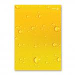 "Светоч"   Т157   Тетрадь ученическая общая, выборочный лак,   A4   96 л.  на скобе   65 г/кв.м , белизна 100 \%  6 шт.  клетка