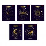 "Светоч"   96ТЕТк-008   Тетрадь ученическая общая, матовая ламинация + тиснение золотой фольгой,   A5+   96 л.  на скобе   60 г/кв.м , белизна 100 \%  5 шт.  клетка