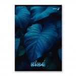 "Светоч"   Т156   Тетрадь ученическая общая,   A4   96 л.  на скобе   65 г/кв.м , белизна 100 \%  6 шт.  клетка