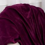 Плед 'Амели' облегчённый 150х200, велсофт, 100% полиэстер, 'Сиреневый'