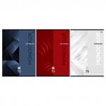 Тетрадь 96 л., А4, клетка BG Monocolor. Classic, Т4ск96 63255