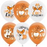 Воздушные шары,  25шт., М12/30см, ПатиБум White&Orange. Корги. С днем рождения, декоратор, шелк, 4690296072292