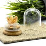 Сувенир цитрин в стеклянной колбе 53*53*75мм.