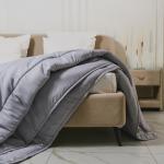 Одеяло Deluxe Swan микрофибра Реноме