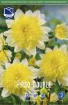 Георгина анемоновидная Пасадобль (Paso Doble), 1 шт