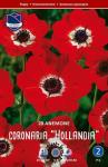 Анемона корончатая Холландия (Anemone coronaria Hollandia), 20 шт (разбор 6/7)