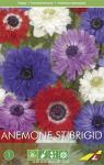 Анемона Сент Бриджит смесь (Anemone St Brigid Mixed), 5 шт (разбор 6/7)