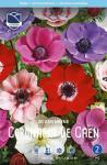 Анемона корончатая Де Каен (Anemone coronaria de Caen Mixed), смесь 20 шт (разбор 6/7)