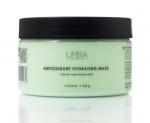 Limba Cosmetics Маска Антиоксидантная для сухих волос ANTIOXIDANT HYDRATING MASK, 245г(lmb46)