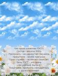 Наволочка 40*40 см, бязь ГОСТ (Воздушные ромашки )