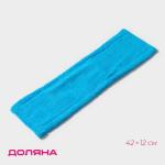 Насадка для плоской швабры Доляна, микрофибра, 42?12 см, голубая