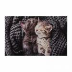 Коврик влаговпитывающий  Samba  50*80 см. Милота, котята  VORTEX