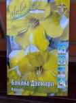НАРЦИССЫ КРУПНОКОРОНЧАТЫЕ, СПЛИТ, ГОФРИРОВАННЫЕ