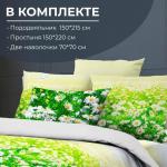 Комплект постельного белья 1,5-спальный, бязь ГОСТ (220) (Ромашковое поле)