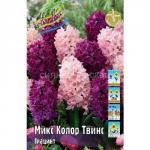 ГИАЦИНТЫ СМЕСИ