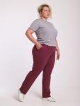 1034.2 Брюки женские (Винный)