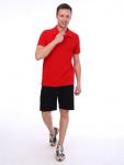№ М202.6 Футболка поло мужская (Красный)