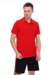 № М202.6 Футболка поло мужская (Красный)