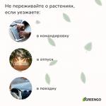 Автополив для комнатных растений под бутылку, h=10.5 см, набор 2 шт., Greengo