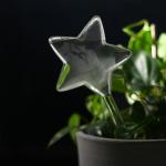 Автополив для комнатных растений «Звезда», 100 мл, ПВХ, Greengo