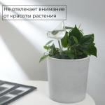 Автополив для комнатных растений «Птичка», 90 мл, ПВХ, Greengo