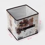 Короб стеллажный для хранения Доляна «Астра», 25?25?25 см