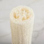 Мочалка для тела натуральная Доляна, 18?6 см