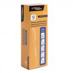 "Expert Complete" Premier Ручка шариковая неавтоматическая ECBP-02 0.5 мм 12 шт. 01 ассорти цвет чернил: синий