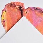 "Canson" Альбом для акрила и масла "Graduate" 290 г/м2 A4 21 х 27.9 см склейка с одной стороны в полиэтиленовой пленке 20 л.